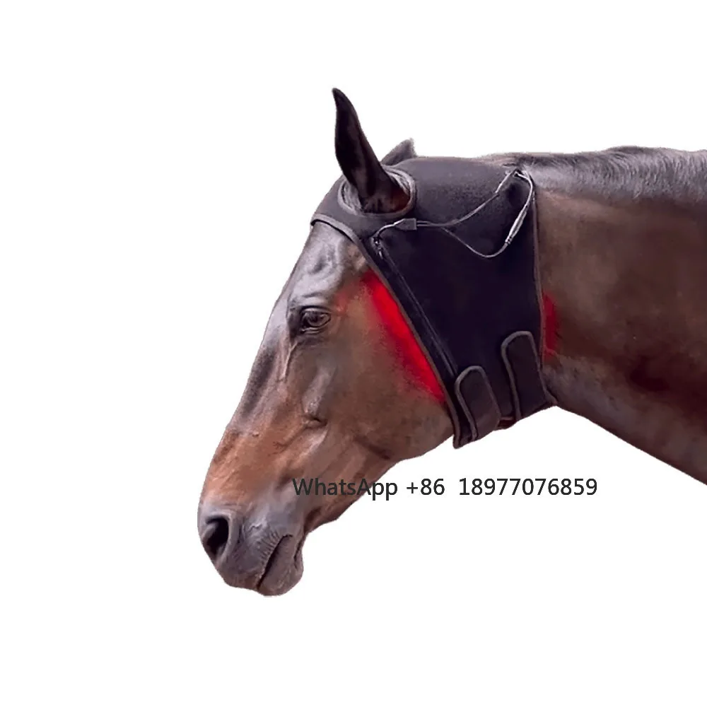 Фото SINOCO Equine Poll Cap Инфракрасный свет для головы лошади Инструмент для терапии красным светом Сертифицированный CE Терапевтическая пленка для головы лошади №2