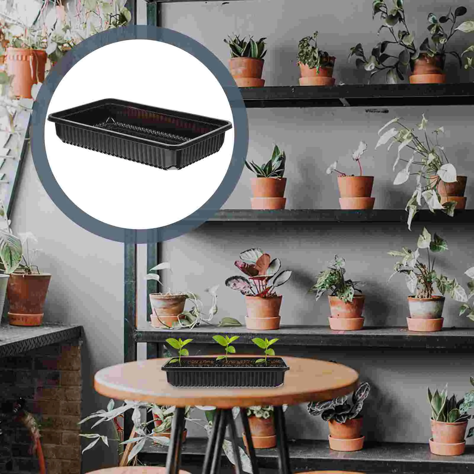 

10Pcs Premium Nursery Tray Plant Flower Growth Tray Useful Gardening Tray