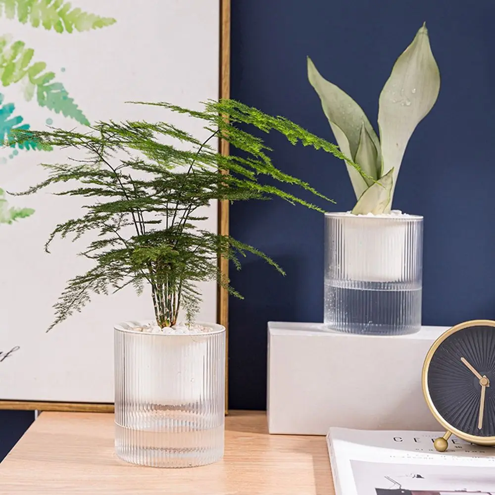 

Transparent Flower Pot Round Plants Holder Mini Plant Container Plants Flowers for Desktop Balcony Gardening