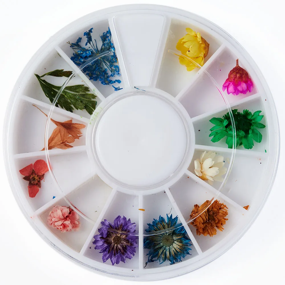 

12 Colors Dried Dry Flower Tips 3D Nail Petal Decorations Mixed Nails Art Decals Real Natural Floral Manicure Accessories