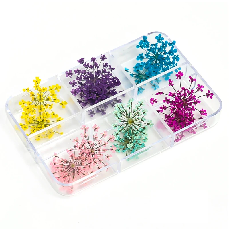 12Pcs/box 3D Dried Flowers Nail Art Decorations Real Dried Flower Stickers DIY Manicure Charms Designs For Nails Accessories images - 6
