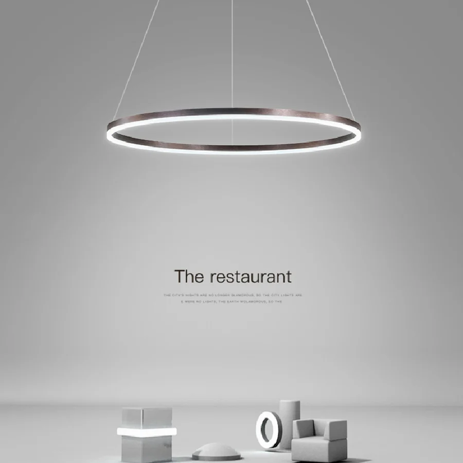 

Ceiling chandelier LED modern chandelier dining room light Nordic designer single head round minimalist living room ring chandel