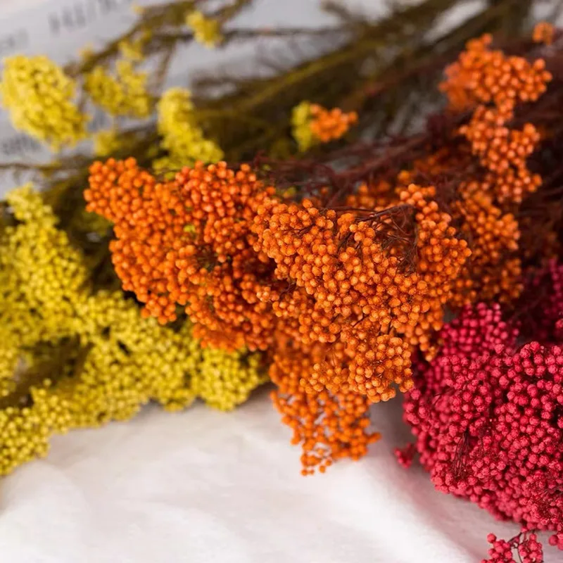 

50g Natural Millet Fruit Dried Flower Christmas Decorations For Home 2022 Artificial Flowers For Wedding Decorations Pampas