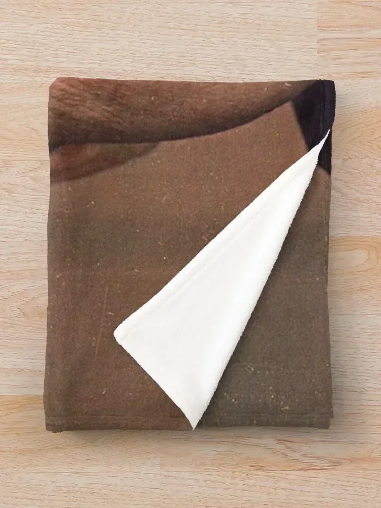 Ричард Никсон портрет плед одеяло ворс Пользовательские Декоративные диваны