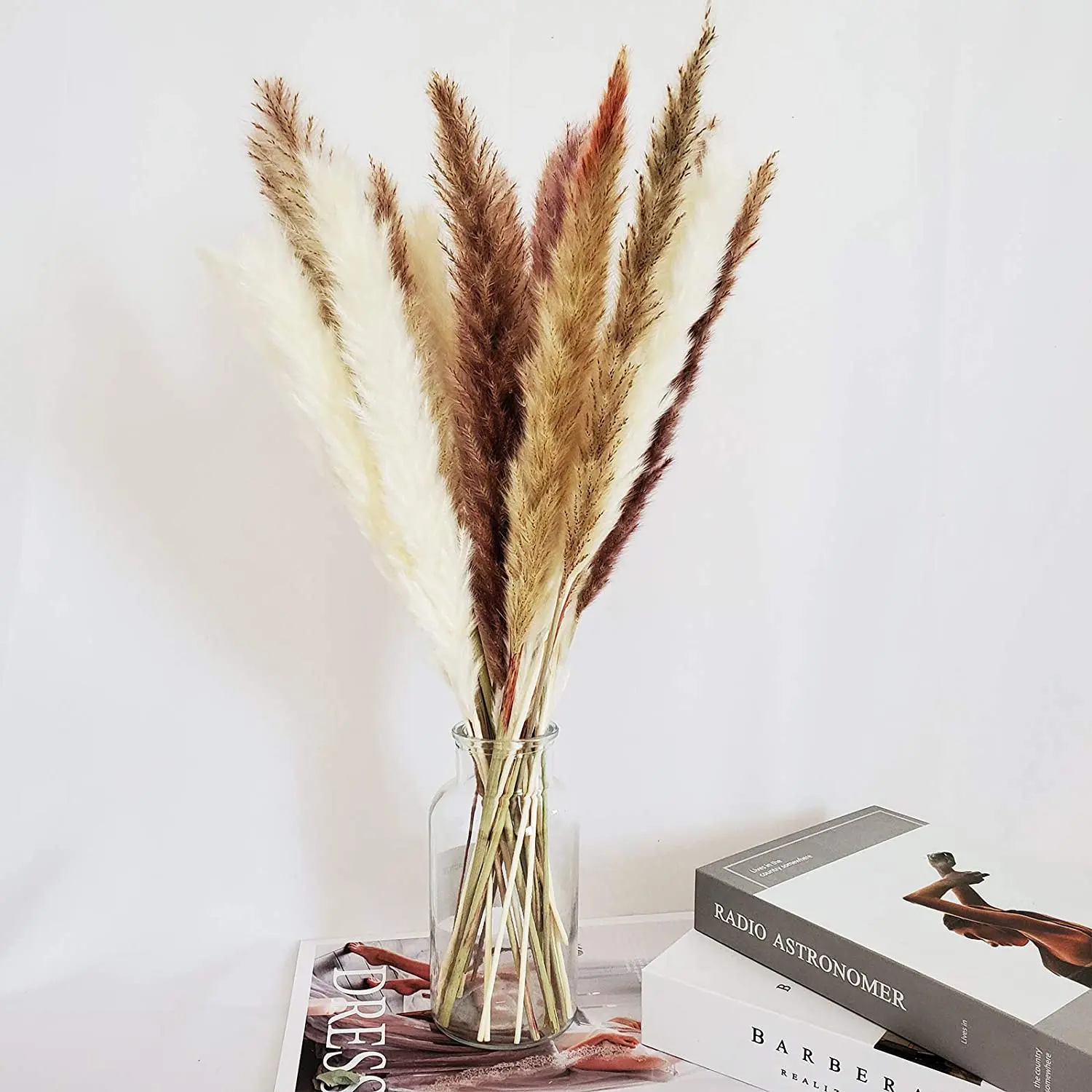 

10PCS Bulrush Natural Dried Flowers Artificial Plants Branch Colorful INS Pampas Grass Phragmites Flower Wedding Home Decoration