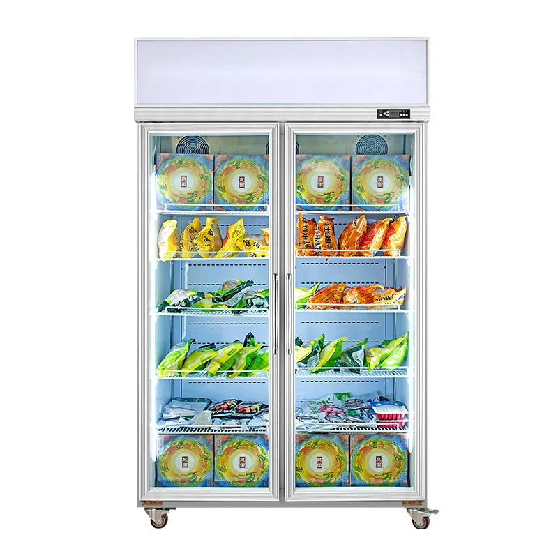 Рисунок 2 - Фотоморозильная камера со стеклянной