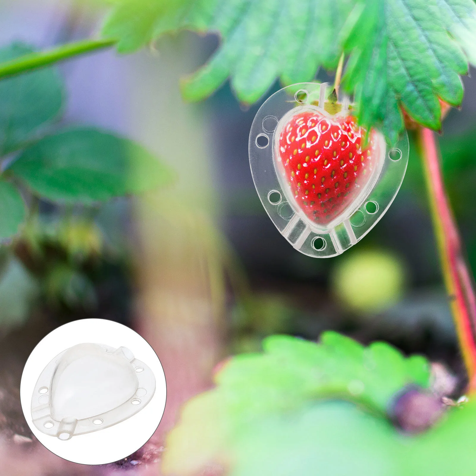 

4 Pcs Strawberry Mold Small Fruit Heart Shape Forming Multifunction Shaping Shaped Plastic Ginseng