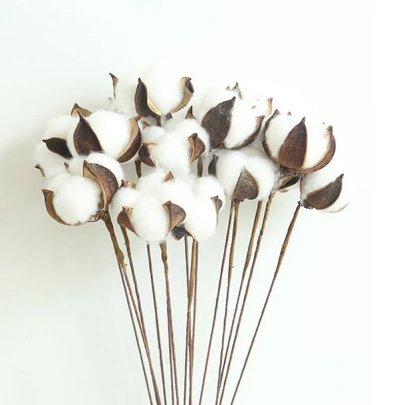 10 шт. Натуральные Сушеные хлопковые цветы искусственные букет подружки невесты