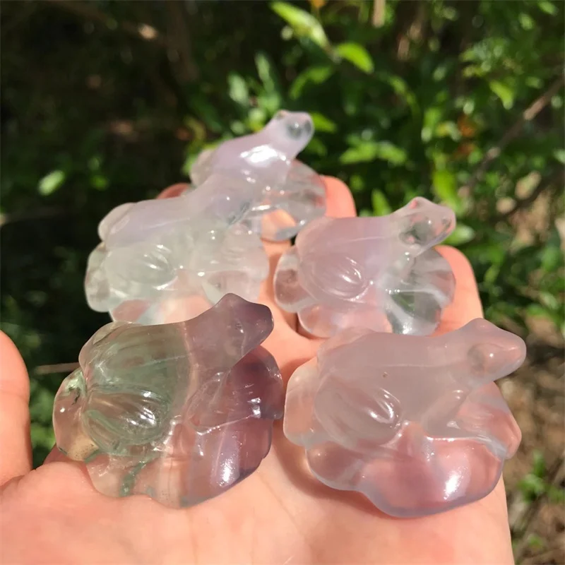 

1pc Natural Fluorite Frog Carving Hand Carved Reiki Figurine Healing Crystals Aquarium Home Decor