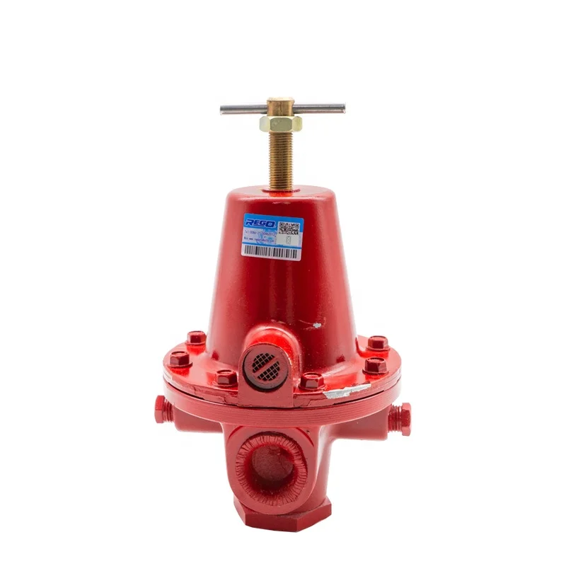 Редукционный клапан REGO 1586VN DN20 6 точек для деталей котла