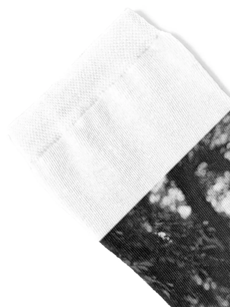 Промышленники США и президент 1921 г. (C023/0182) Носки