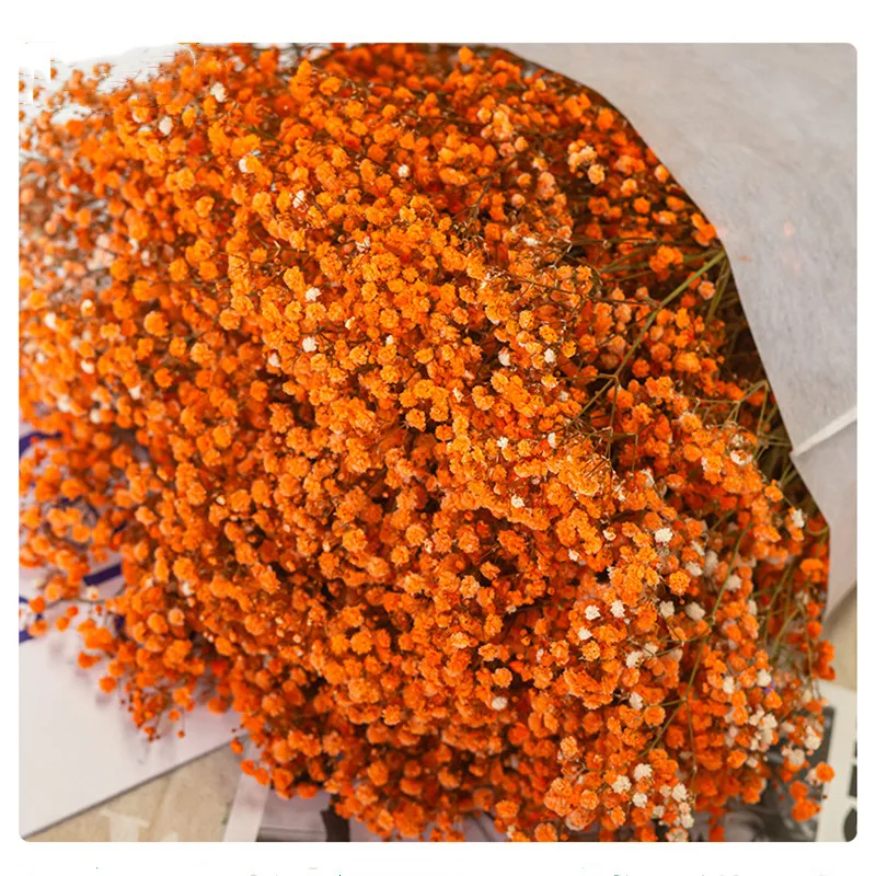 

100g Natural Fresh Dried Flowers Gypsophila Wedding Decoration Arrangement Baby Breath Preserved Bouquet Hoom Christmas Supplies