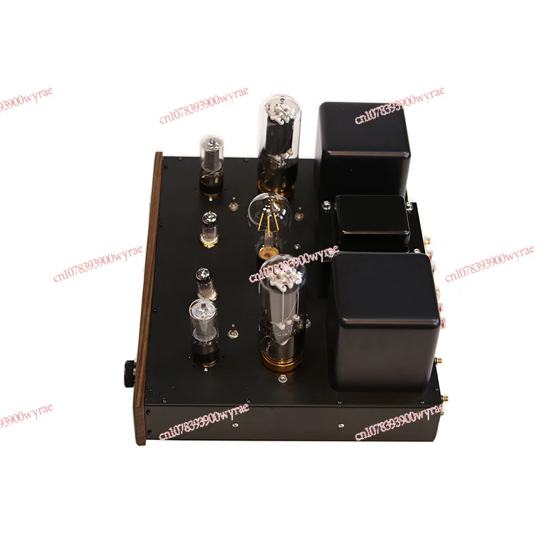 Высокомощный ламповый усилитель 805A Gallbladder 45WX2