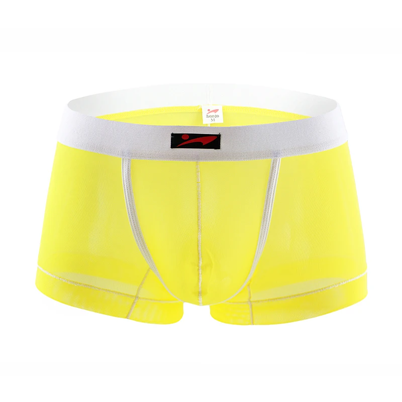 Men Boxer Mesh Sexy Underwear Transparent Panties Breathable Ultra Thin See-through Low Waist Slip Hombre U Convex Underpants