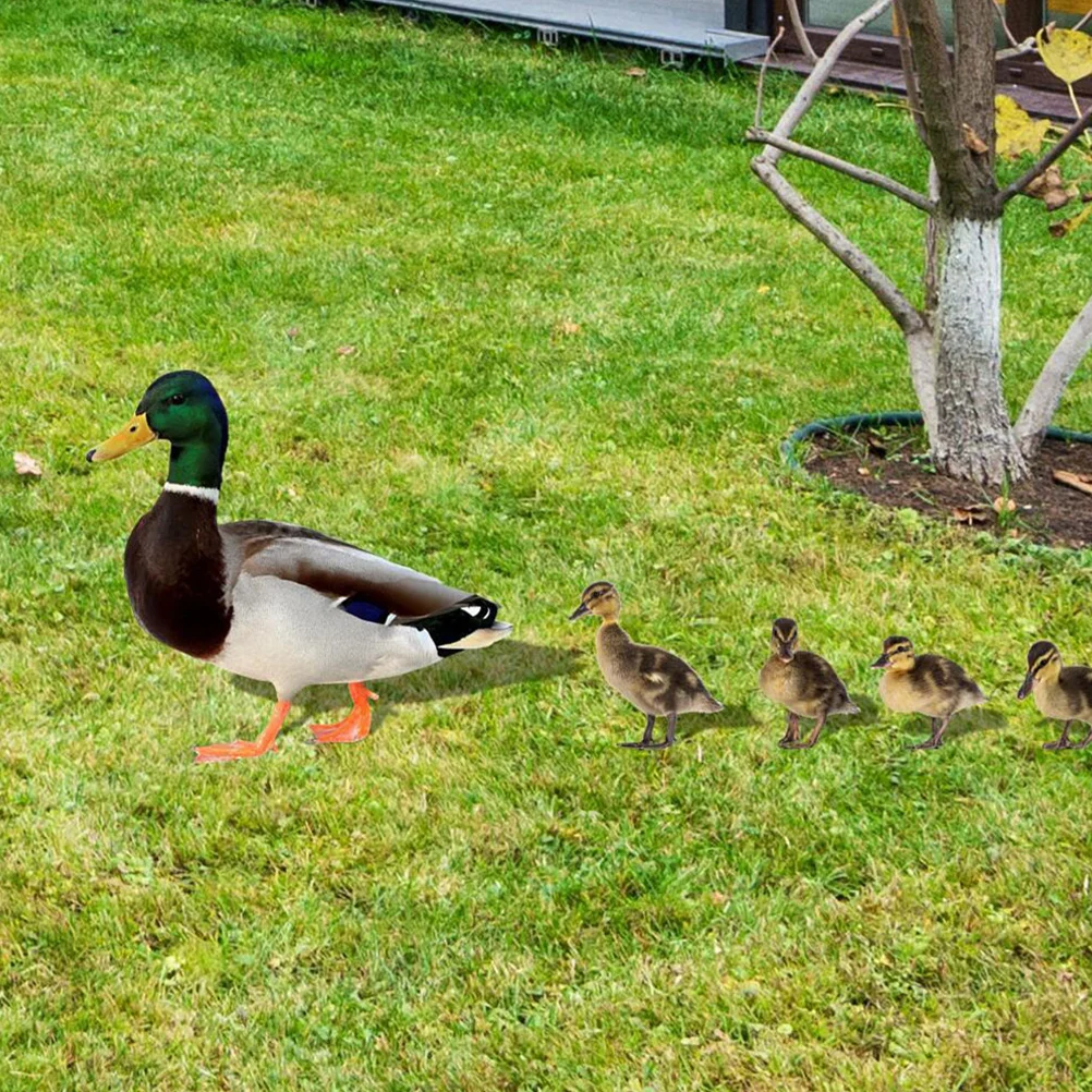 

Garden Decoration Insert Duck Yards Decorative Acrylic Stake Ground Inserted Ornament Stakes Sign Lawn Outdoor Signs