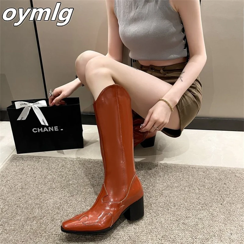 Осень/Зима 2023 длинные ковбойские ботинки с V-образным вырезом женские на толстом