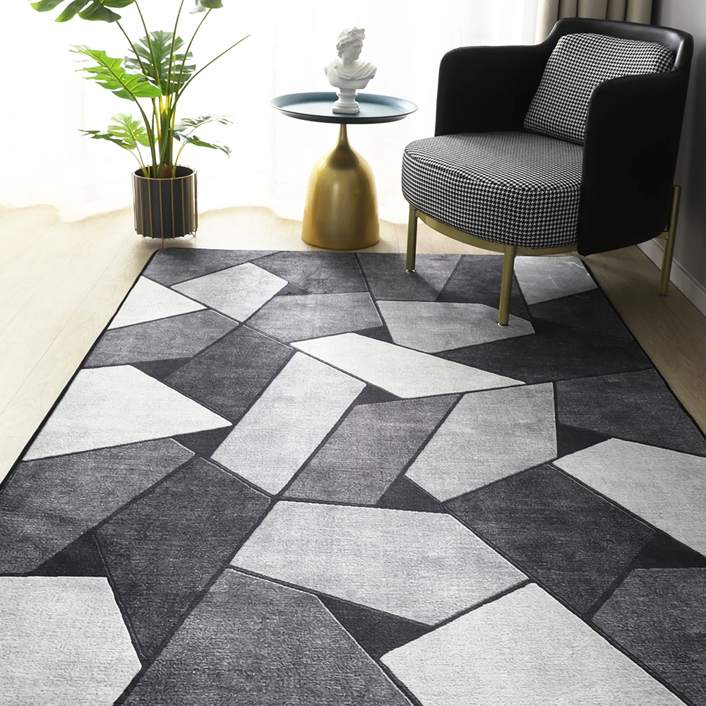 

Carpets for Living Room Decoration Washable Floor Lounge Rug Large Area Rugs Bedroom Carpet Modern Home Living Room Decor Mat