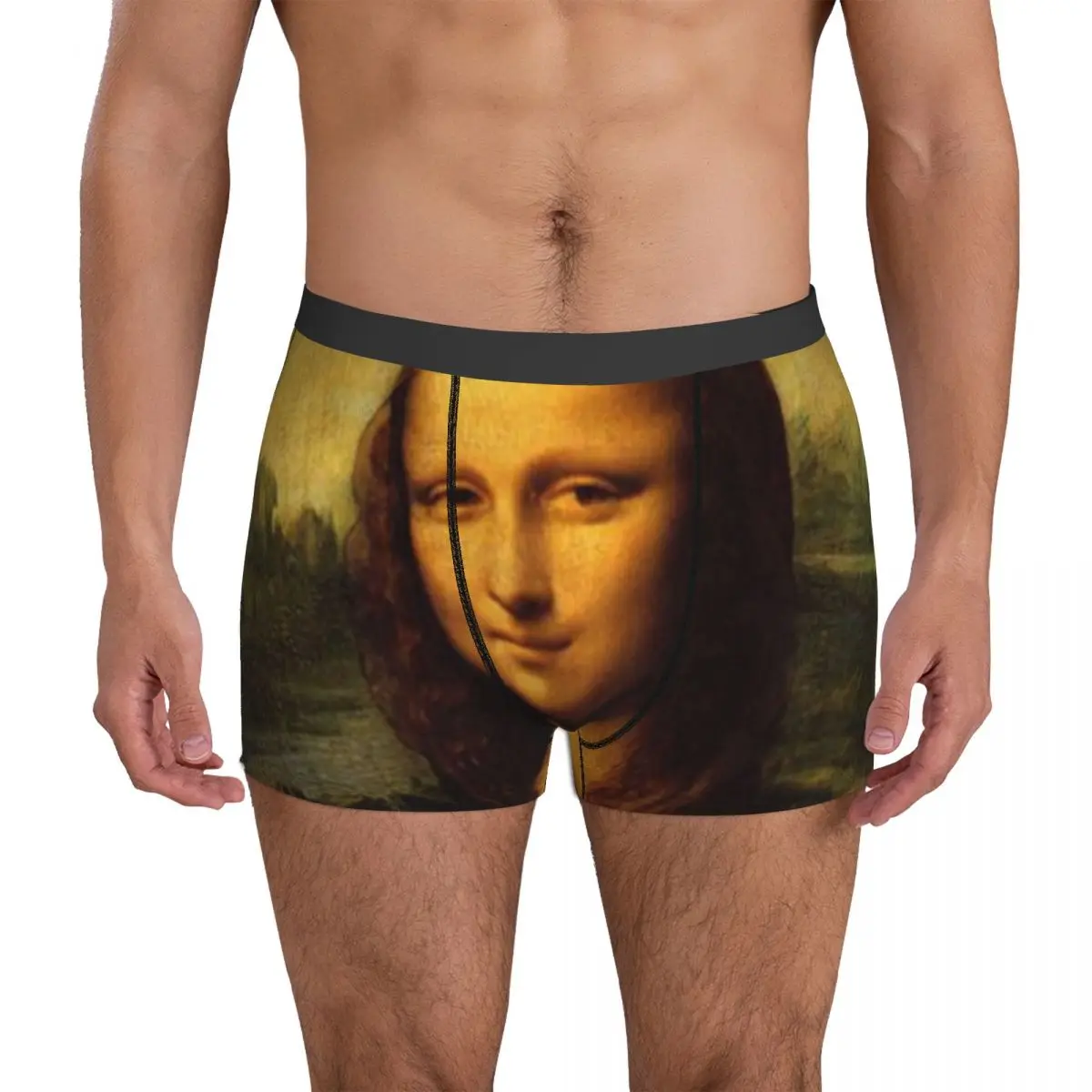 Mona Lisa Holding A Cat Crazy Cater Underwear funny mona lisa Pouch Trenky Boxershorts Custom Boxer Brief Classic Males Panties