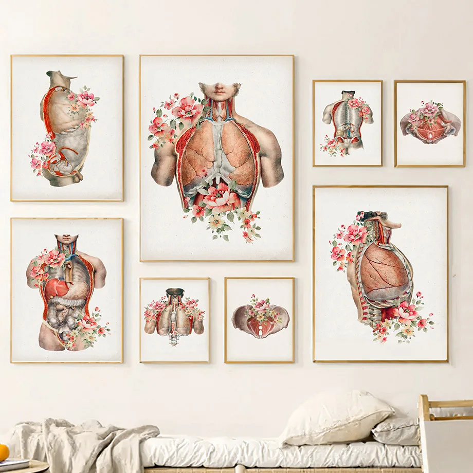 

Abstract Medical Anatomy Organ Flowers Wall Art Canvas Painting Nordic Posters And Prints Wall Pictures For Doctor Office Decor