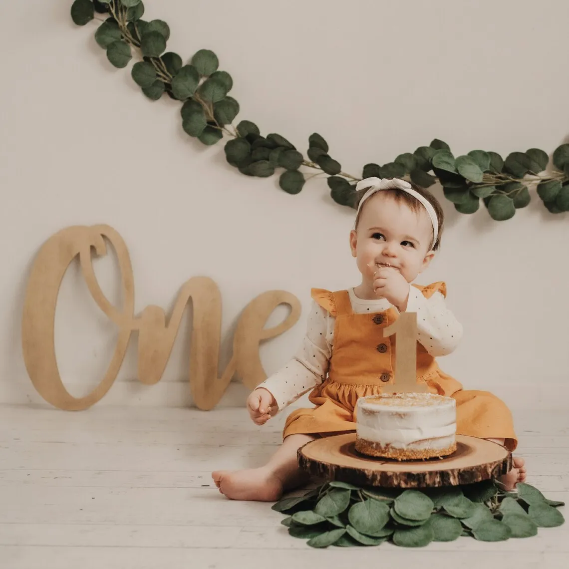 

One Sign Photo Prop for First Birthday,Wooden Number Sign,Cake Smash,First Birthday Photo Shoot,One Sign,First Birthday Decorate