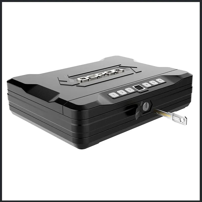 Рисунок 4 - Новый автомобильный маленький Сейф