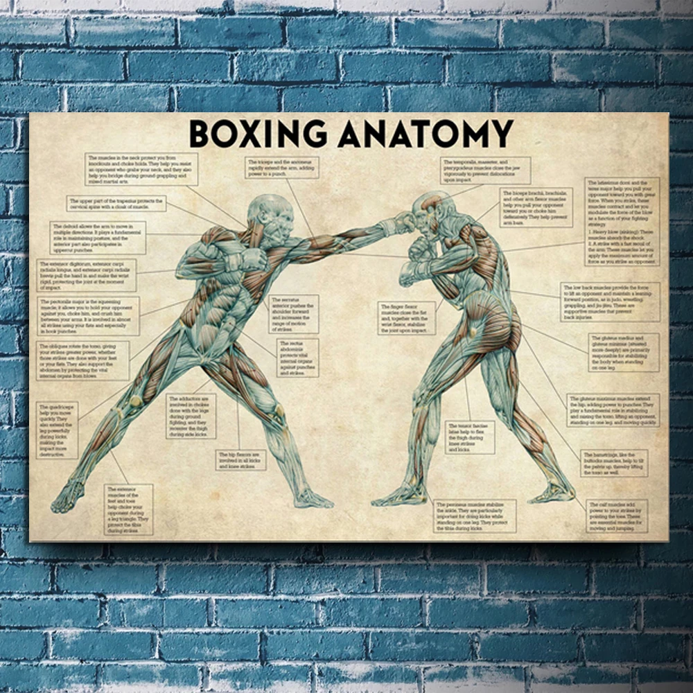 

Боксерские плакаты и анатомии тела, винтажные настенные картины на холсте, подарок для любителей бокса в тренажерном зале, Декор для дома
