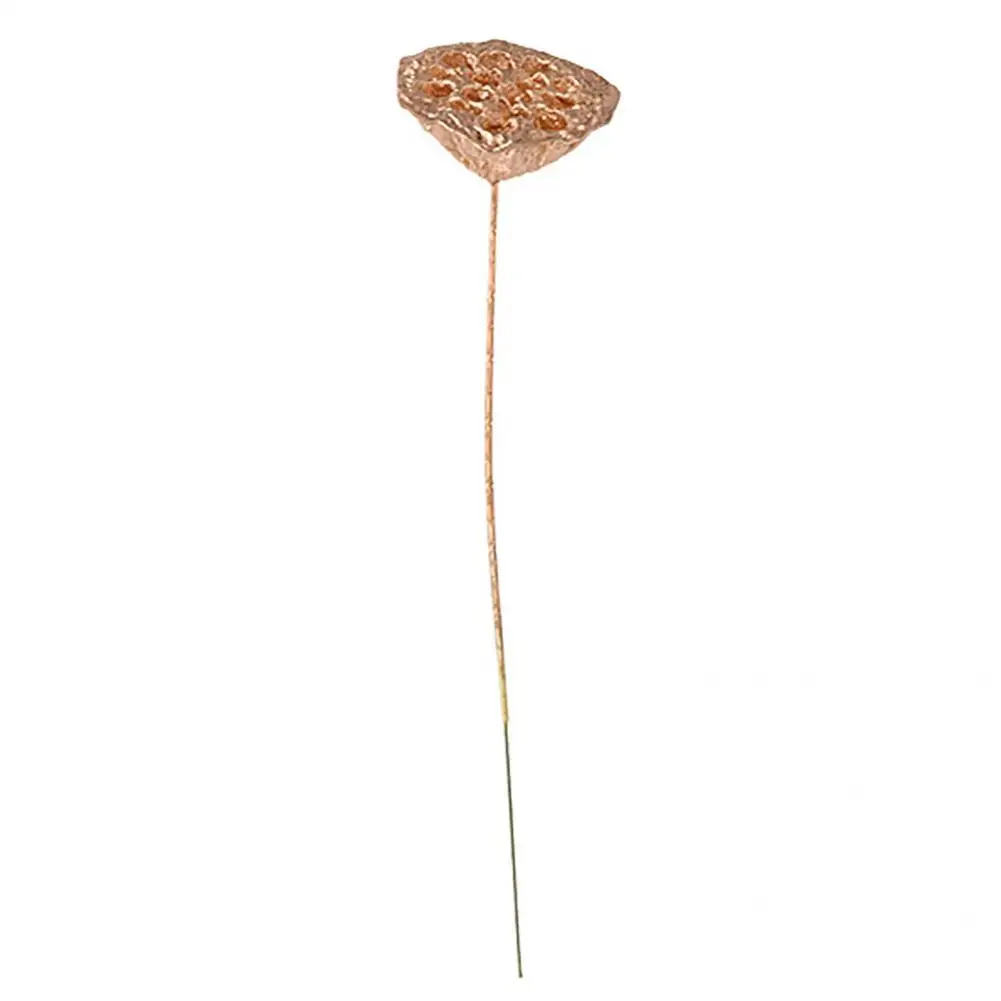 

Golden Color Creative Delicate Fake Lotus Dried Flower Gifts Simulation Lotus Dried Flower Reusable for Wedding
