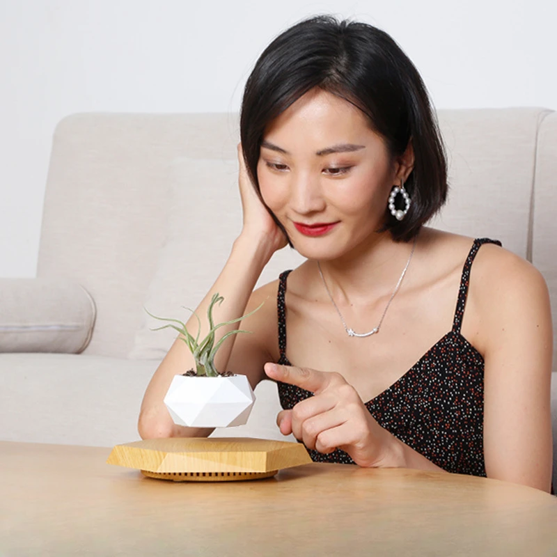 Горшечное растение maglevu цветочный горшок креативный бонсай подарки ручной