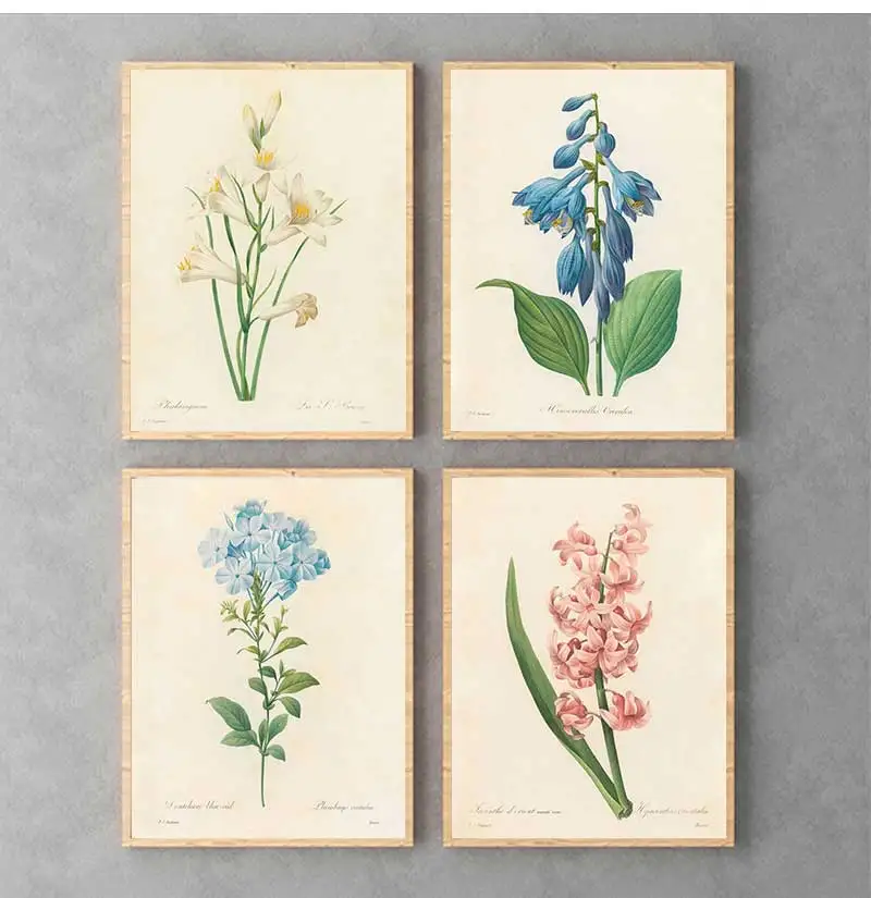 Винтажные постеры и принты садовых пионов роз лилий дикие цветы Картина на