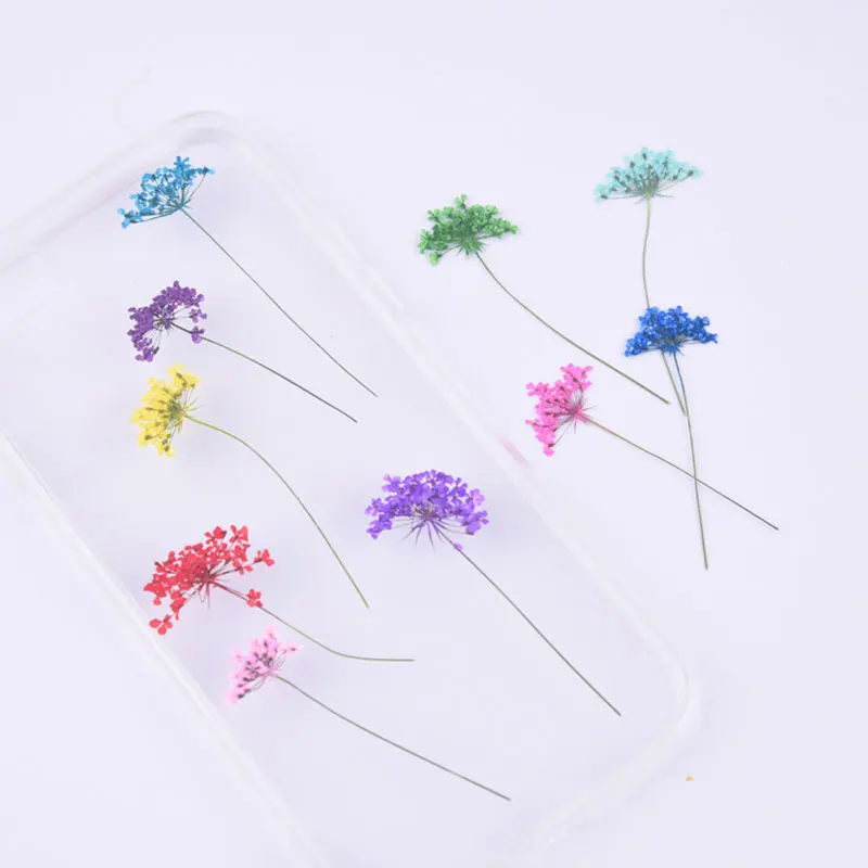 

50pcs Pressed Snowdrop Lace Flower dried flower embossed pressed flower phone case diy hand account materia