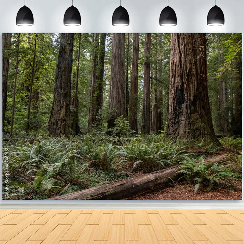 Фон для фотосъемки &quotОпавшие деревья в зеленом хвойном лесу&quot размеры