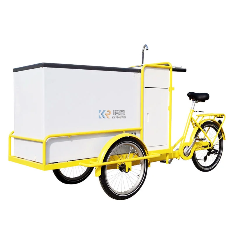 

2022 Display Pedal Electric Cargo Bike Refrigerator Ice Cream Street Mobile Vending Food Cart Adult Ticycle with Solar Panel