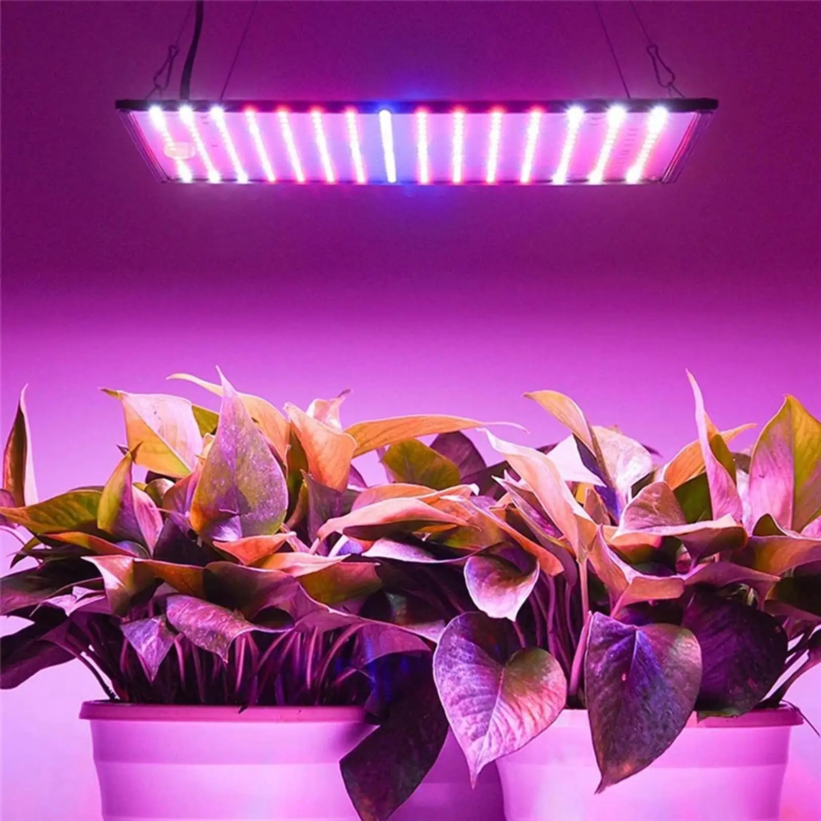 

Aluminum Plant Grow Light EU Plug Tent Blue Red Orange White Ultrathin Panel Lamp Clip Plant Lamp for Hydroponics Indoor Plants