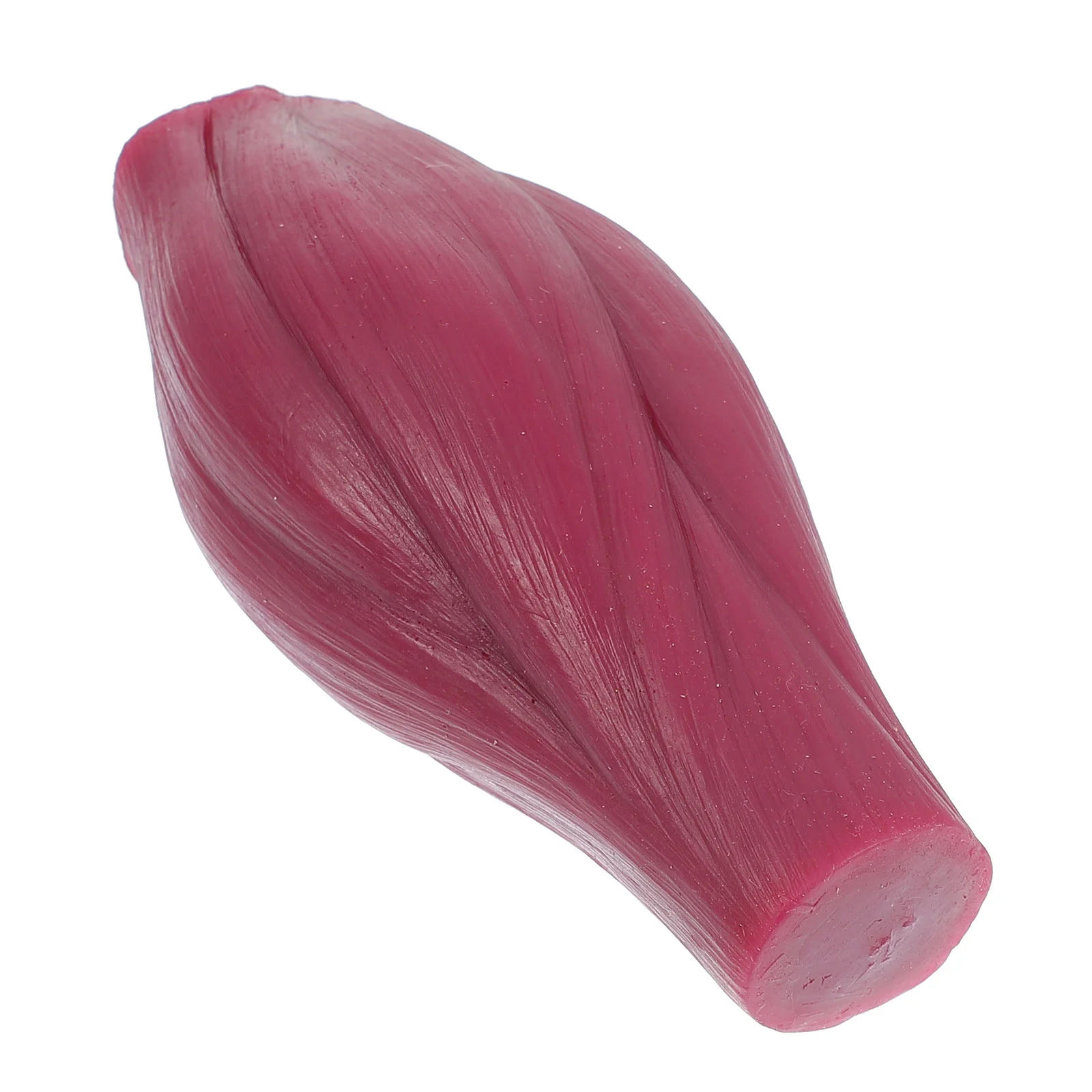 

1 Pc Athlete Muscle Model Human Body Anatomical Model Muscle Model