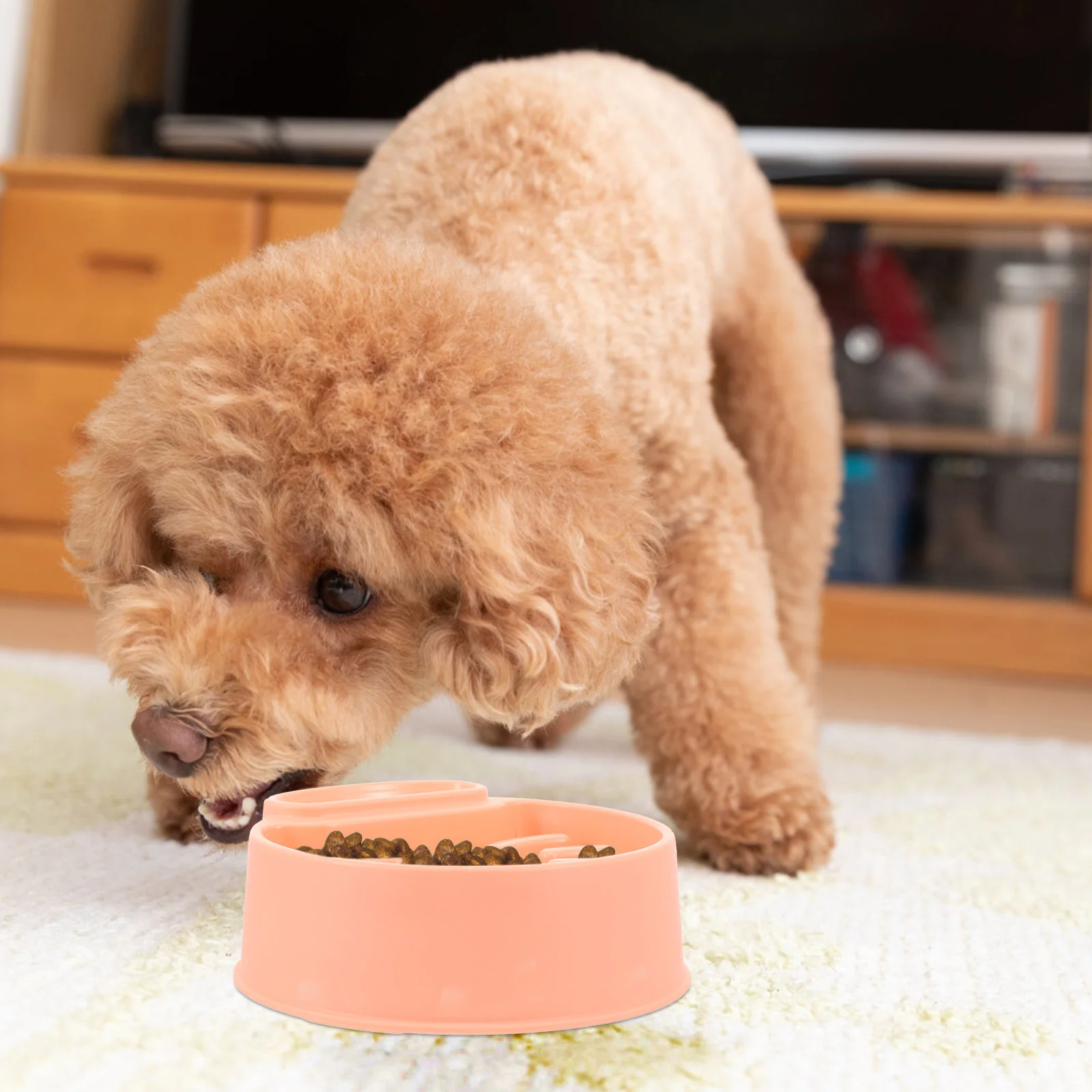 

Dog Bowl Pet Food Slow Feeder Cats Floor Tableware Feeding Bowls Wear-resistant Small