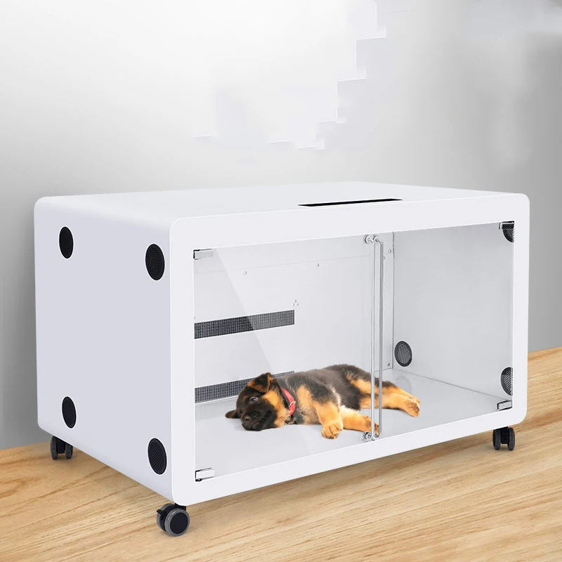 Сушилка для собак. Фен для собак. Chunzhou bs-2400. Pet dryers market. Сушка для собак.