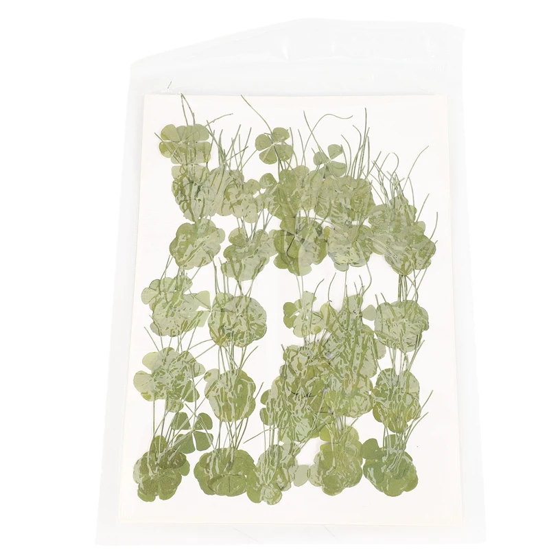 Промоция! 250 штук прессованных сухих листьев четырехлистного клевера для создания ожерелья с подвеской растения Листьев, ювелирное производство, аксессуары для творчества Diy.