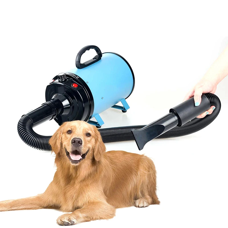 

Powerful Dogs Hair Dryer Silent Hairdryer Secador Fast Water Blower Blow Dryer Warm Wind Cat Blaster Dryer Pet Grooming Products