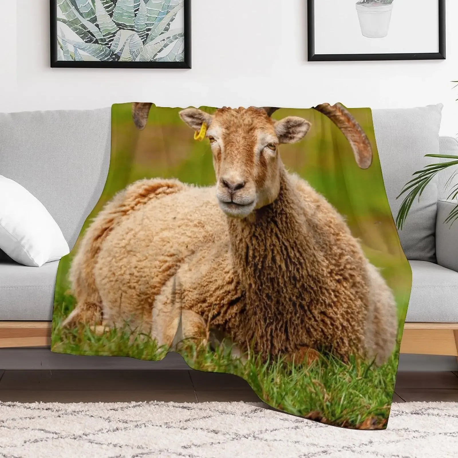 Одеяло Soay Sheep большое для дивана милые летние одеяла