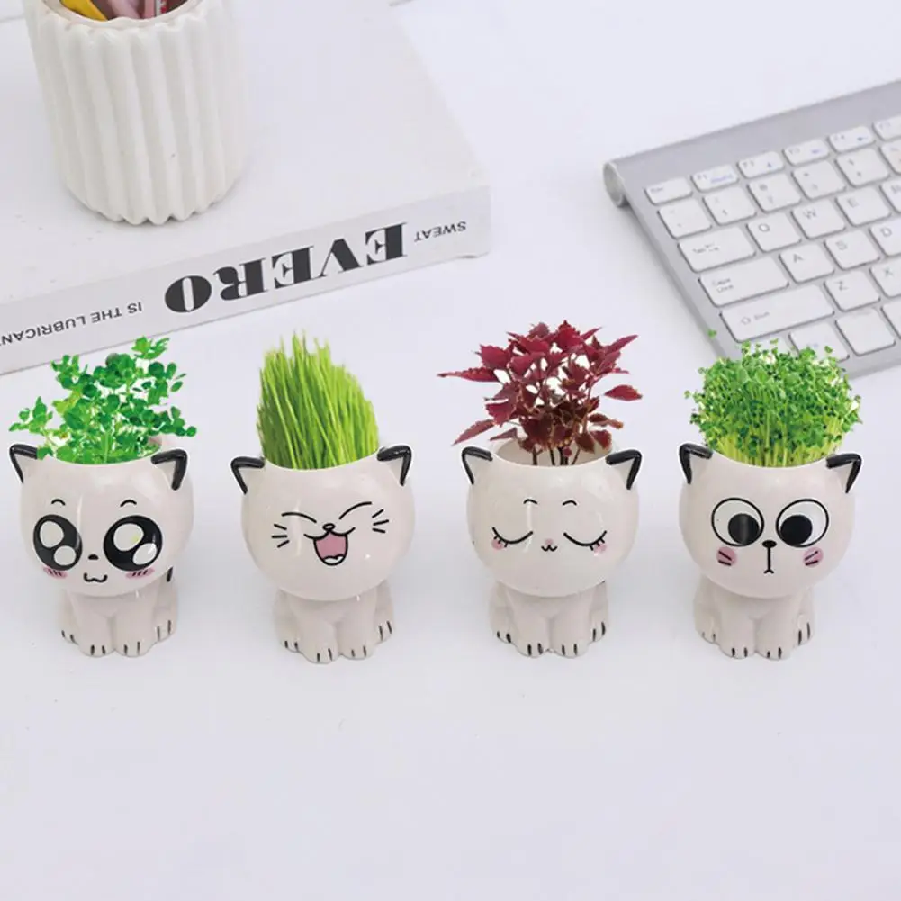 

Creative Planting Box Decorative 4 Styles Beautiful Non-slip Plant Pots Plants Pot Grass Pots