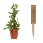 Палочка для подъема растений Creeper Trelli, стойка для поддержки рамы, уличная, для поддержания влажности, для офиса, для дома и сада