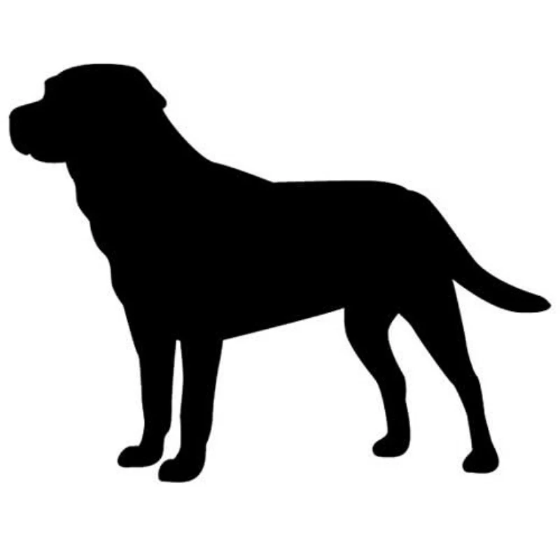 Автомобильная наклейка rLabrador Retriever Dog виниловая | Автомобили Грузовики Фургоны