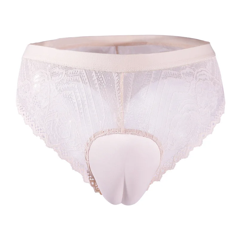 Mens Lace Control Panty See Through Hiding Gaff Panty Ultra Thin Transvestite Gaff Panties Briefs for Crossdresser Transgender