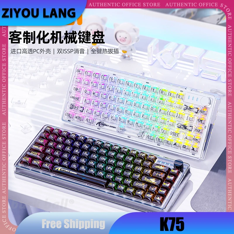 

ZIYOU LANG K75 Mechanical Gamer Keyboard Transparent Wired Keyboard Hot Swap 81 Key RGB Backlit Gaming Customized Keyboard Gifts