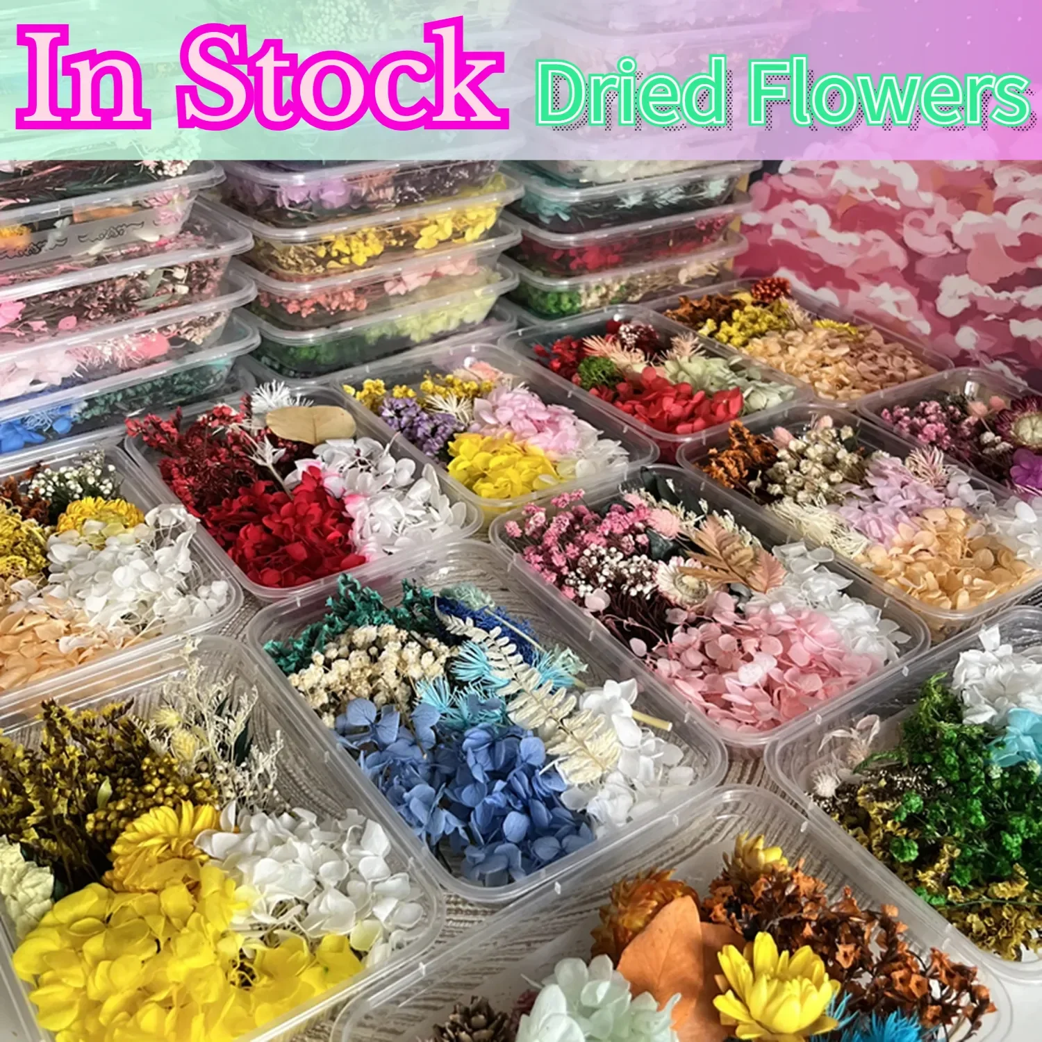 

Dried Flowers for Resin Mixed Pressed Dry Leaves Multiple Natural Pressed Flower Real Mini Flowers for Crafts Handmade Soap DIY