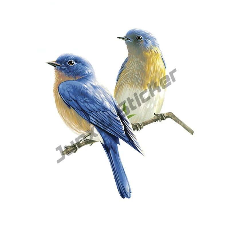 

Art Pattern Birds Funny Car Stickers Sunscreen Windows Bumper Decal Motorcycle Trunk Vinyl Car Wrap KK13*11cm