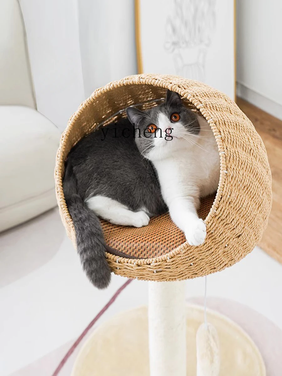 Плетеная рама Tqh для скалолазания подвесная фоторамка кошек из искусственного