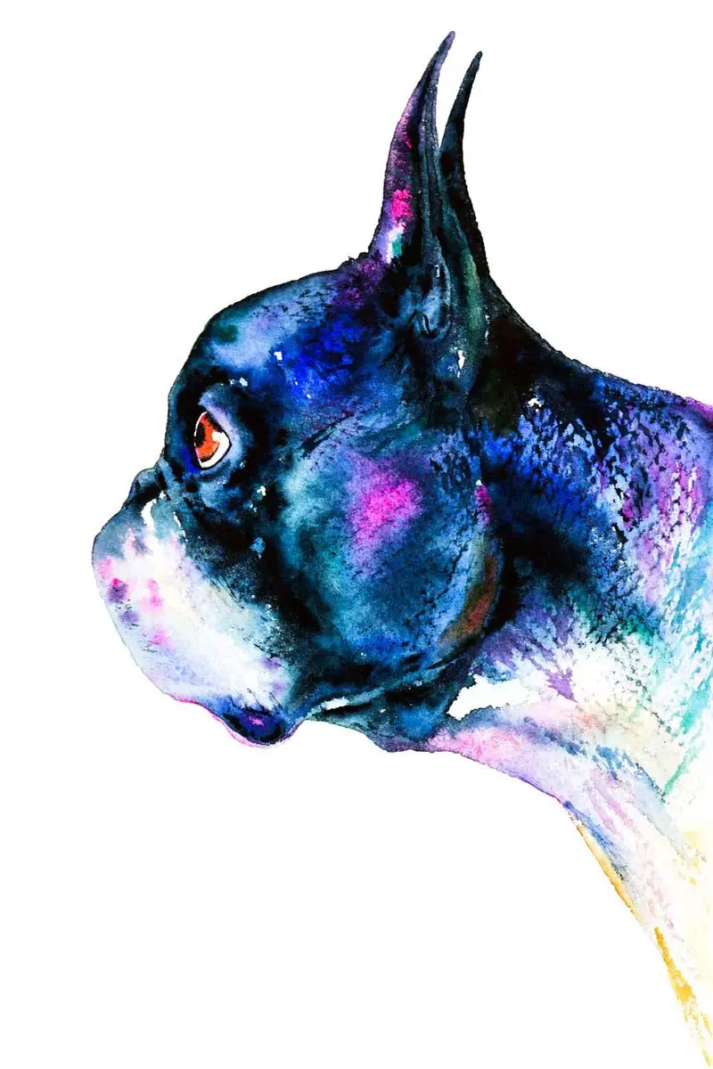 

Металлический знак Boston Terrier, оловянные таблички, Настенный декор, украшение для комнаты, ретро, винтажный стиль, для художественного дома, па...