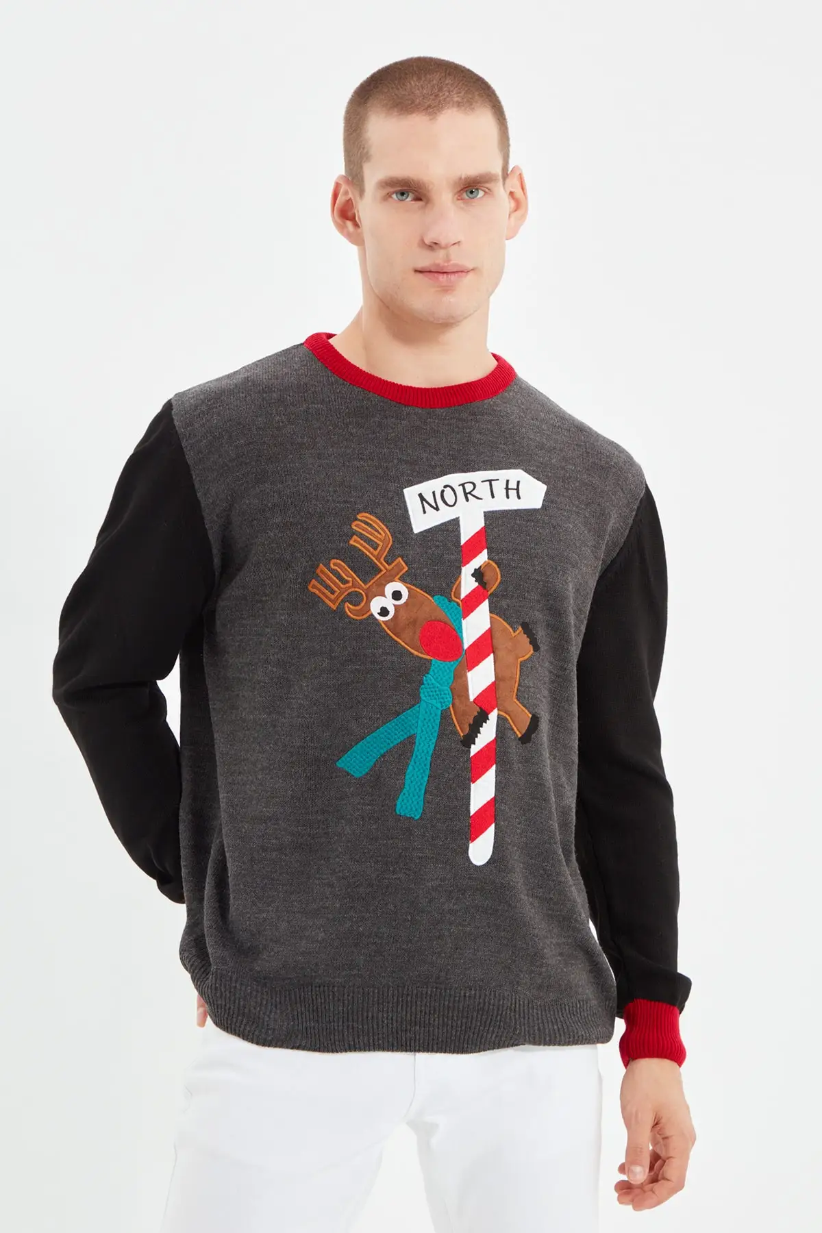 

Men's Regular Fit cycling collar christmas themed sweater TMNAW22KZ2016