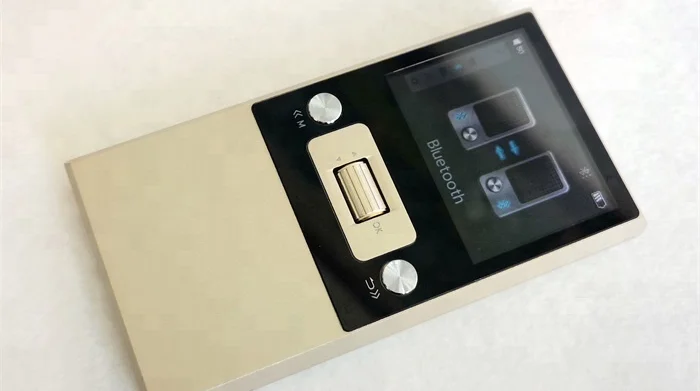 

Full Metal Case Professional Lossless DSD,DSF,DFF,ALAC,AIFF,APE,FLAC Hi-Fi MP3 Player